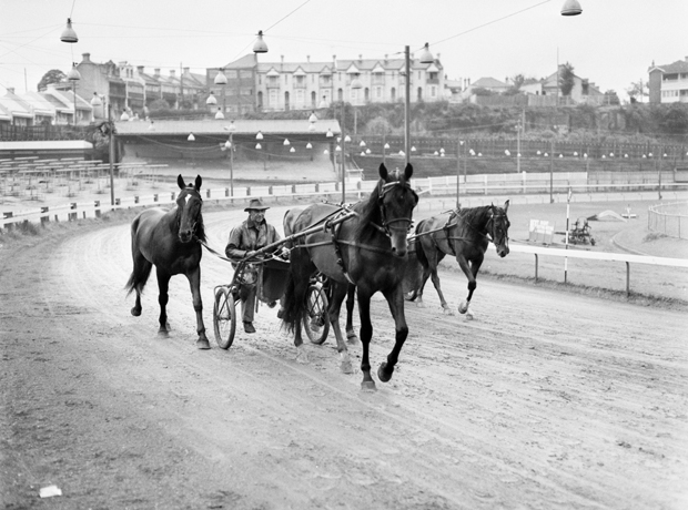 Harold Park, Interdominion Trotting 1967